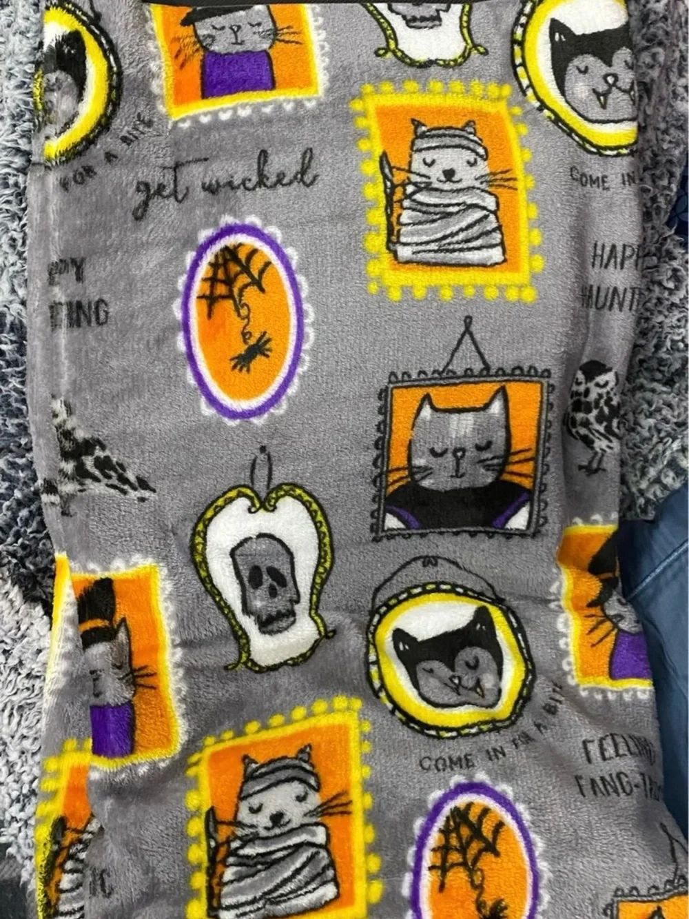 Way to Celebrate Framed Halloween Characters Velvet Plush Throw. 50” By 60”.